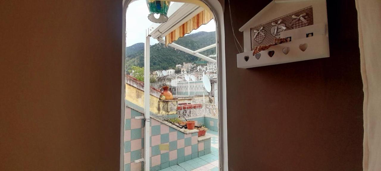Judith Wright'S Home مايوري المظهر الخارجي الصورة