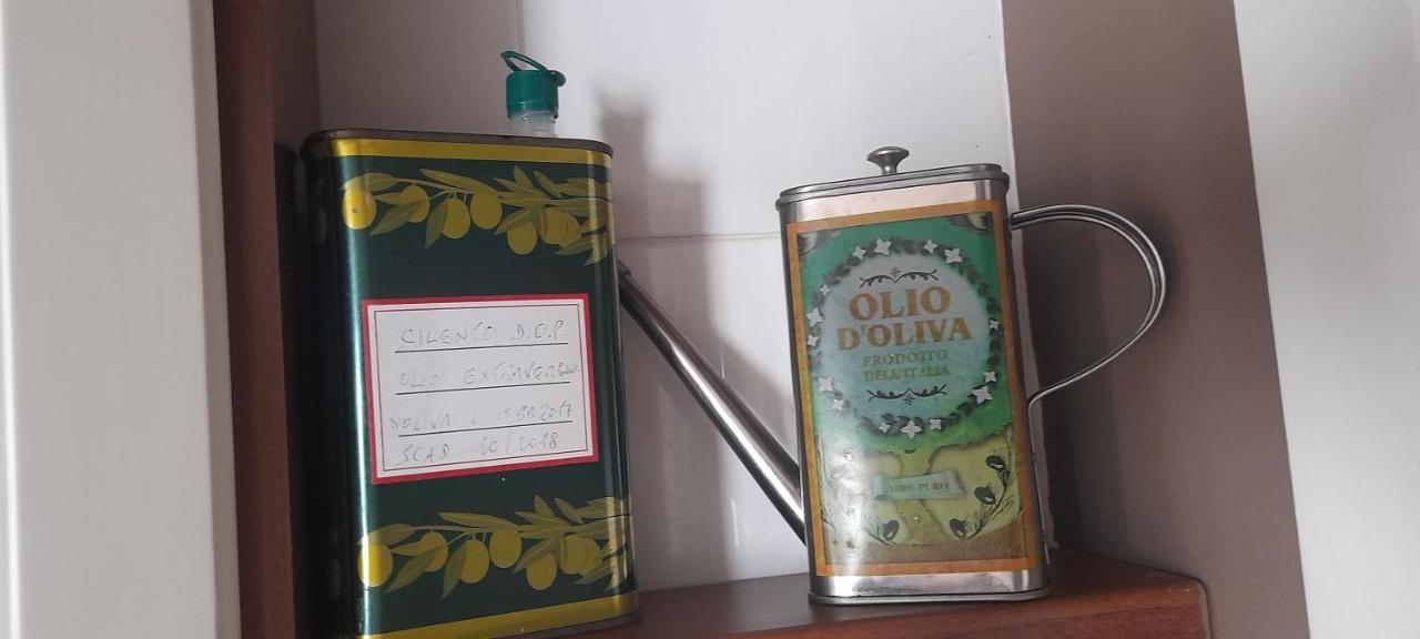 Judith Wright'S Home مايوري المظهر الخارجي الصورة